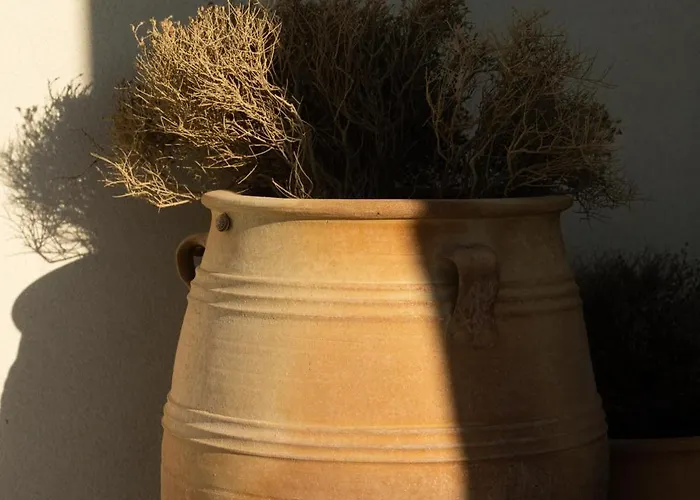 Theta Skyros Casa vacanze